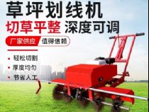 點(diǎn)擊查看詳細(xì)信息<br>標(biāo)題：草皮劃線(xiàn)機(jī) 閱讀次數(shù)：2914